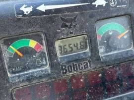 2004, Bobcat, 334