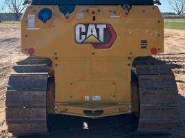 2021, Cat, D2
