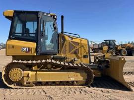 2021, Cat, D2