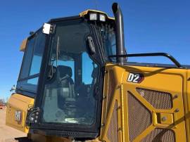 2021, Cat, D2