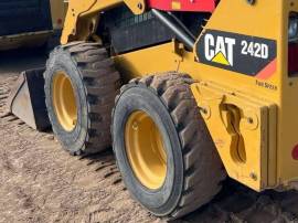 2019, Cat, 242D