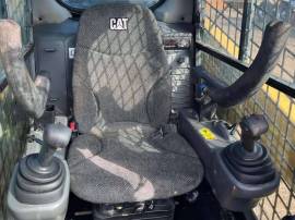2019, Cat, 242D