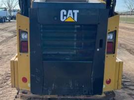 2019, Cat, 242D