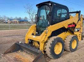 2019, Cat, 242D