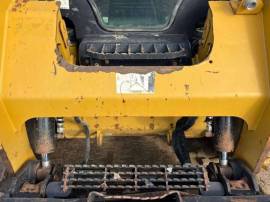 2019, Cat, 242D