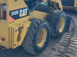 2019, Cat, 242D