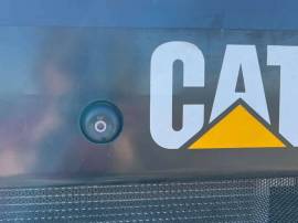 2019, Cat, 242D