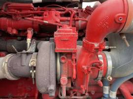 2020, Guzzler, Classic