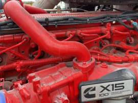 2020, Guzzler, Classic